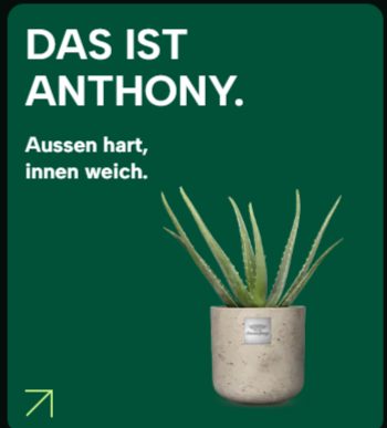 Grüne Kachel mit einem Kaktus und dem Schriftzug:„Das ist Anthony. Außen hart,innen weich.“