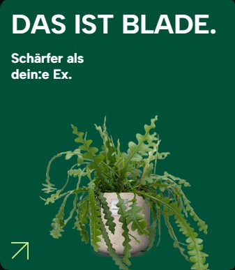 Grüne Kachel mit einer Hängepflanze und dem Schriftzug:„Das ist Blade. Schärfer als dein:e Ex.”