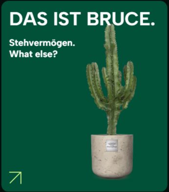 Grüne Kachel mit einem Kaktus und dem Schriftzug:„Das ist Bruce. Stehvermögen. What else?“